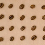 Roasted beans in rows on kraft paper