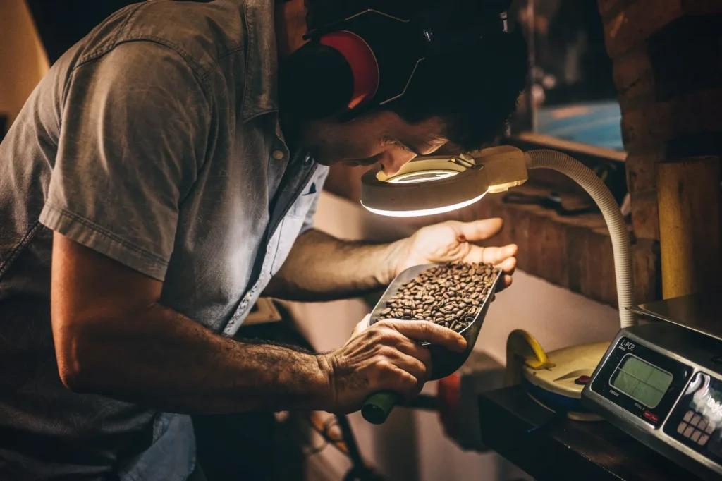 Roaster checking a sample of beans