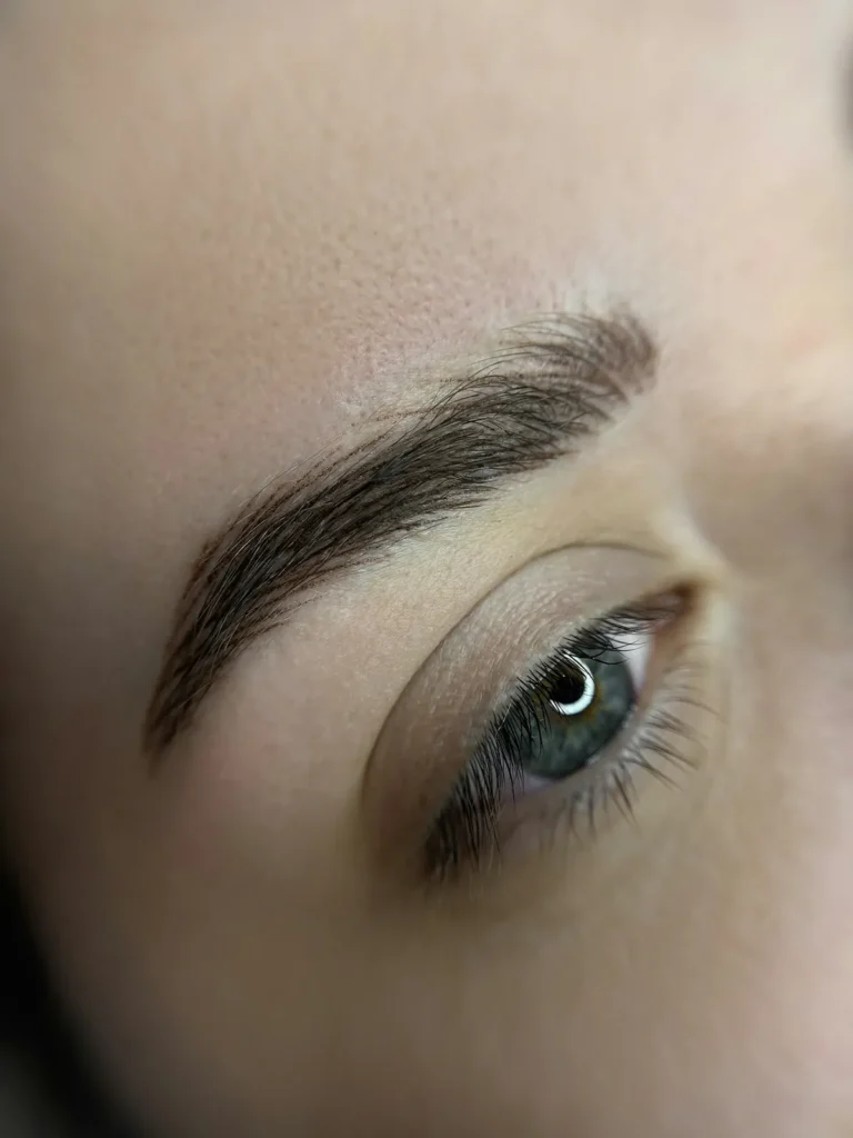 Soft, brushed-up brows after lamination
