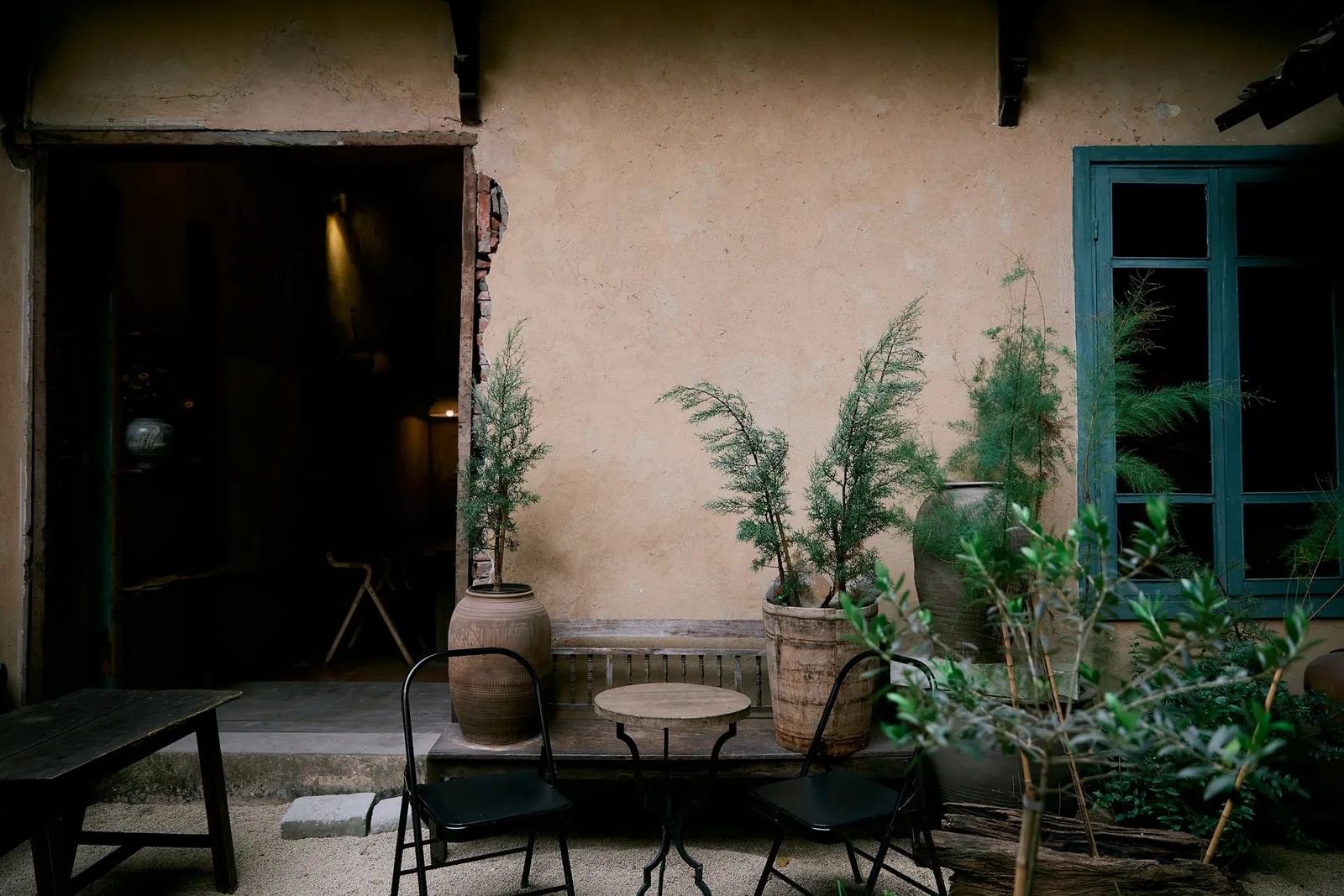 Courtyard with plants beside a blue shuttered door