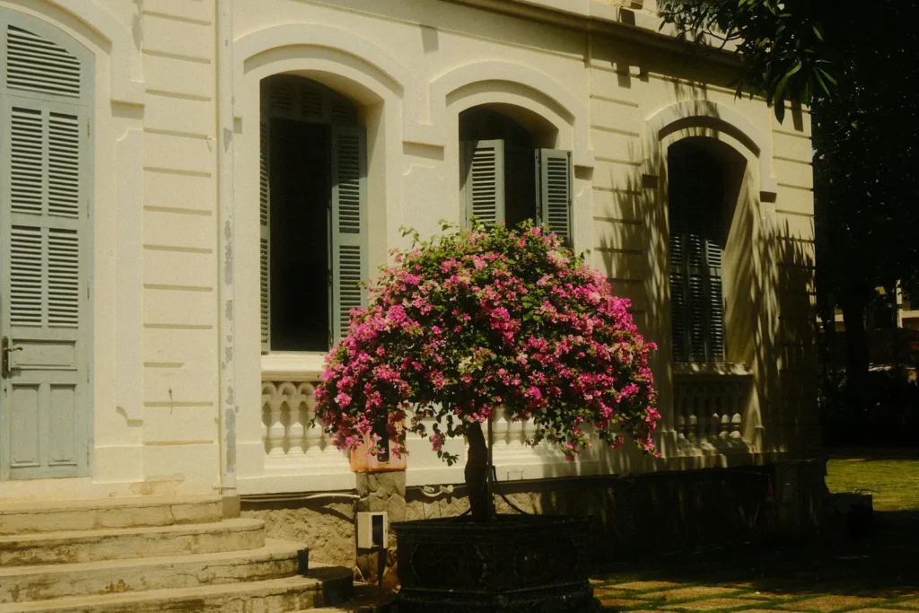 Colonial villa with arched windows and bougainvillea